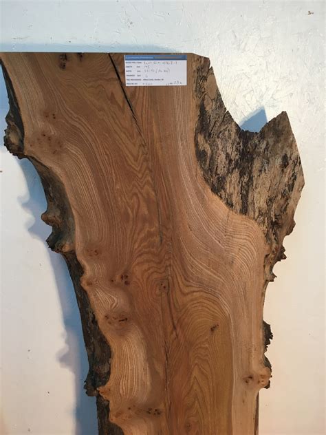 Elm Natural Waney Live Edge Slab Wood Board