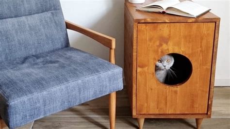 Cat Litter Box Furniture Options To Fit You And Your Kittys Style