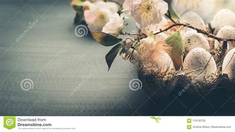 Download Eggs In Carton Box With Spring Blossom, Front View, Copy Space, Banner. Stock Image - Image of ...