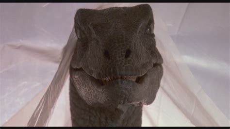 Velociraptor Movie Canon Park Pedia Jurassic Park Dinosaurs Stephen Spielberg
