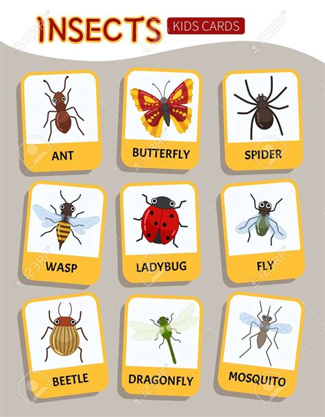 8 Pics Insects For Kids And Description Alqu Blog