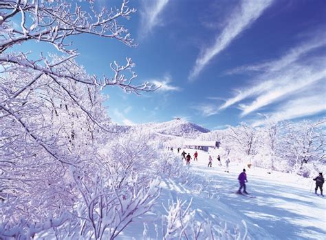 Korea memiliki empat musim, iaitu musim hujan dan musim panas di pertengahan tahun, dan musim dingin dari bulan november sampai bulan march. 7 Negara Ini Memiliki Pemandangan Musim Salju yang Indah ...