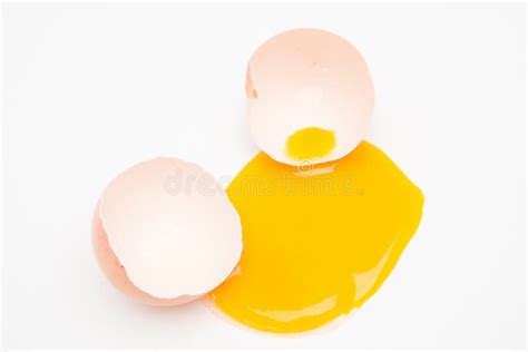 Broken Egg With Yolk Spilled Stock Photo Image Of Shell Protein