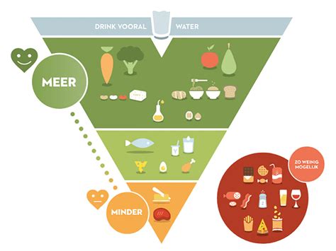 Little research has identified their level of knowledge regarding the guidelines and associations with food intake. Belgium Has a New Food Pyramid—Here's Why You Should Care ...