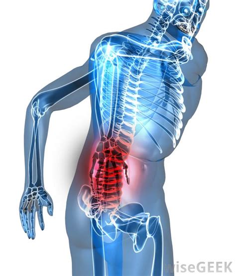 The human back, also called the dorsum, is the large posterior area of the human body, rising from the top of the buttocks to the back of the neck. Lumbago. Causes, symptoms, treatment Lumbago