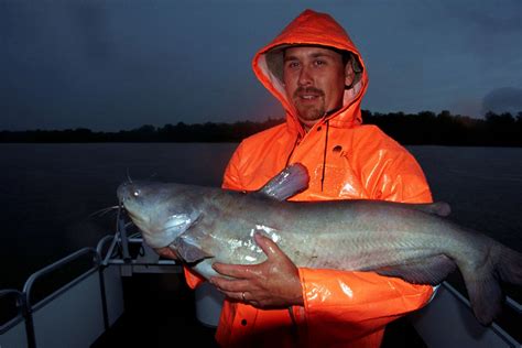 We did not find results for: 10 Hot Tips for Catfishing Success - Game & Fish