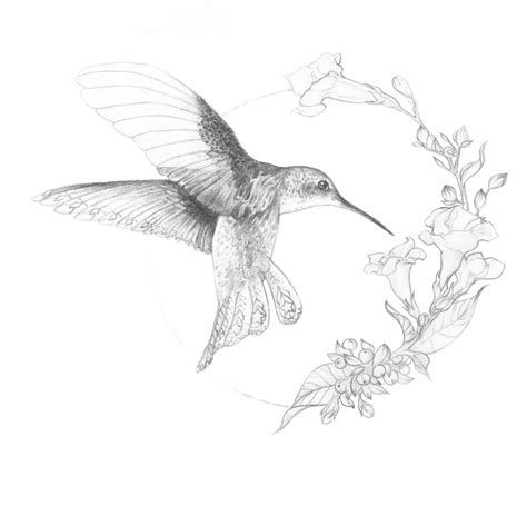 Image result for simple hummingbird sketch hummingbird flower. #hummingbird tattoo sketch