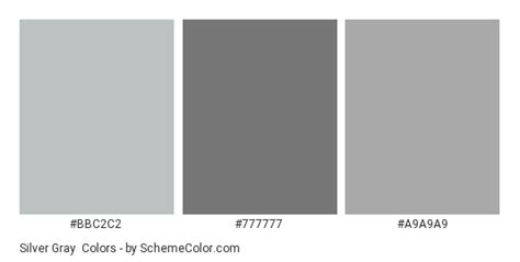 Silver Gray Color Scheme Gray