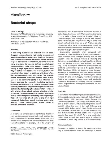 Bacterial Shape Molecular Microbiology Review Sheet Bio 226n