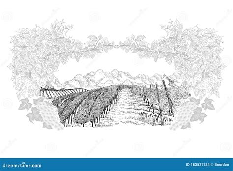 Landscape Of Vineyard Inside Of Decorative Frame From Grapes And Vines