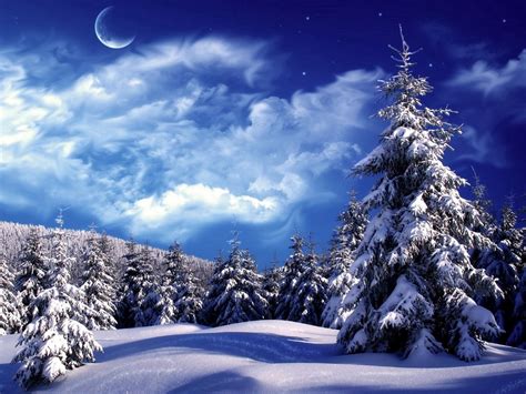 Download Wallpaper 1400x1050 Fur Trees Trees Clouds Snow Moon Sky