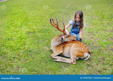 Child Feeding Wild Deer At Petting Zoo Kids Feed Animals At Outdoor
