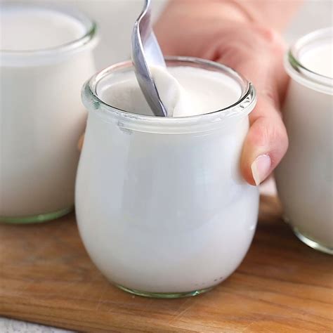 How to Make Coconut Milk Yogurt in the Instant Pot (Dairy ...