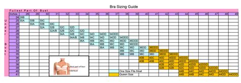Plus Size Bra Sizing Chart Hot Sex Picture