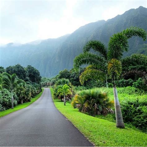 Ideas For Garden Hawaii Botanical Gardens Kona