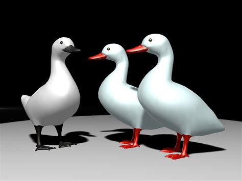 White Ducks 3d Model 3ds Max Files Free Download Modeling 47081 On Cadnav