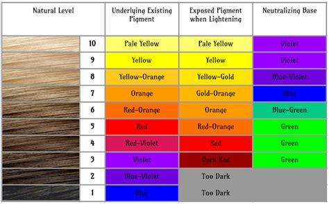 The Color Chart For Different Hair Colors And Their Corresponding Tones