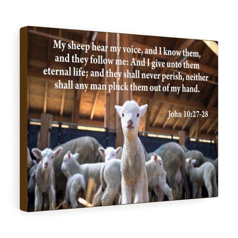 Scripture Canvas My Sheep Hear My Voice John 1027 28 Christian Wall