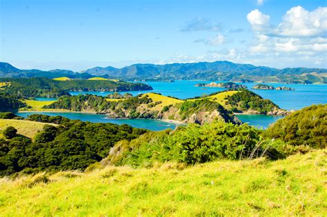 Bay Of Islands Day Tour Scenic Pacific Tours