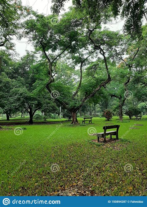 ramna park stock image image of park bangladesh dhaka 150894287