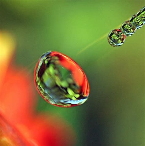 These pictures are very easy to make. 31 Beautiful Water Droplets