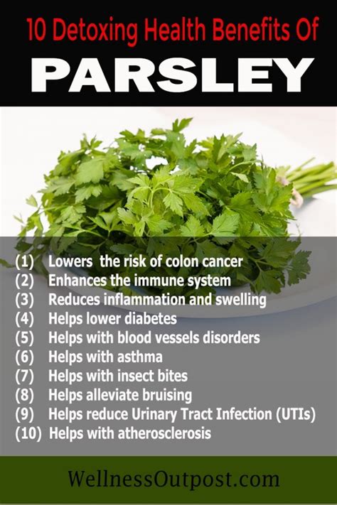 15 Parsley Health Benefits For Cancer Prevention And Detox