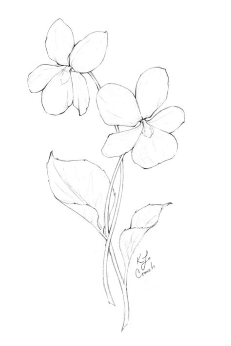 Flower Drawings Inktober 2018 Roundup Katrina Crouch Blushed
