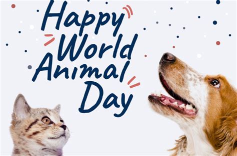 Happy World Animal Day United Petfood