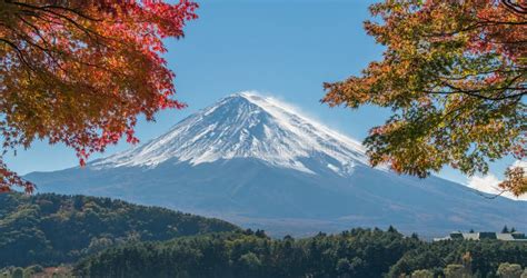 Mount Fuji In Autumn Color Japan Stock Photo Image Of Foliage
