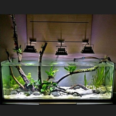 The most important/difficult thing in aquascape is the hardscape! 17 Best images about Aquascape on Pinterest | Plants ...