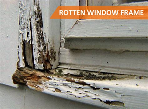 Repair Rotten Exterior Wood Window Frame Protech Property Solutions