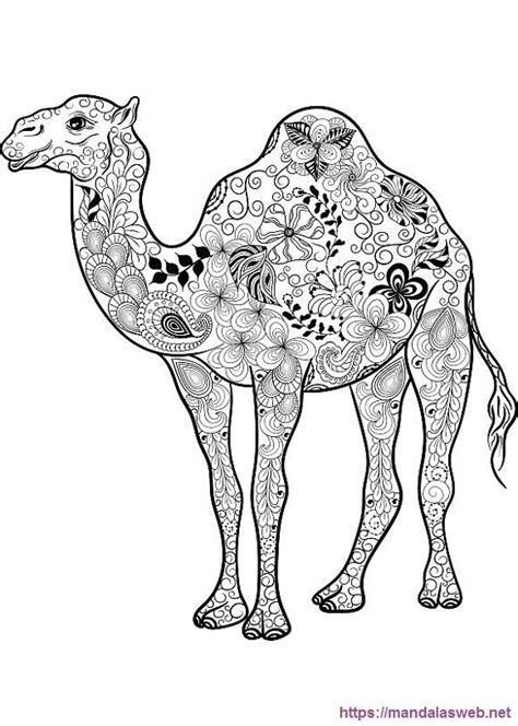 36 Dibujos de Camellos para Colorear e Imprimir 🥇
