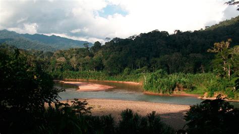 7 Atractivos Turísticos De La Selva Peruana Que Debes Descubrir