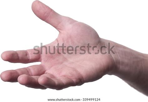 Human Palm Isolated Stock Photo Edit Now 339499124