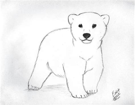 Polar Bear Cub by Hauru7 on deviantART Картины животных Изображения