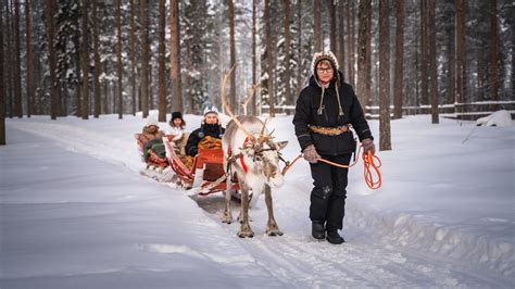 Reindeer Rides And Safaris Close To Rovaniemi Lapland Reindeer Lake