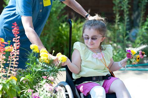 Spring Activities For Horticultural Therapy My Chicago