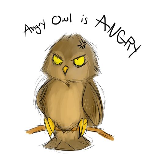 Angry Owl Is Angry By Citrusvision On Deviantart