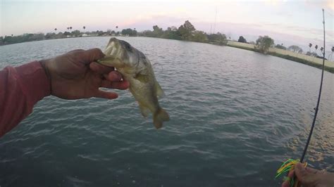 South Texas Bass Fishing Youtube