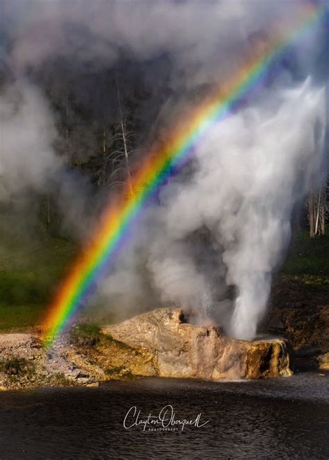 Riverside Geyser With Rainbow Yellowstone National Park National