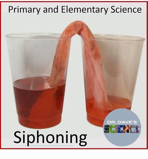 Stem Activities Siphoning First Grade Primary Kindergarten Science