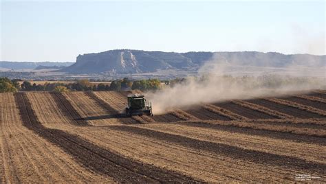 Dry Bean Harvest In The Nebraska Panhandle Cropwatch University Of