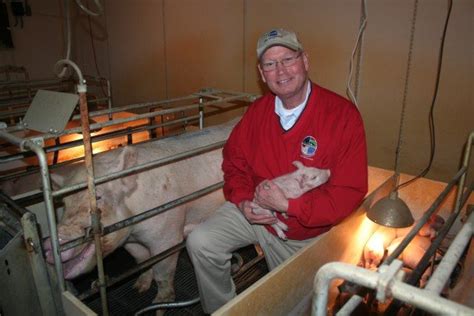 Brown Enjoys Raising Hogs Proudly Produces Food Ohio Ag