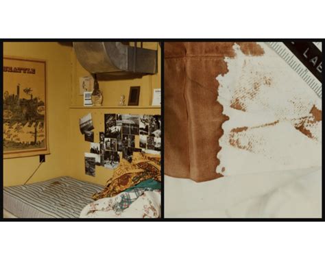 Graphic Content Ted Bundy Crime Scene Photos