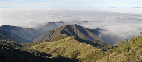 Bay Nature Magazine Tule Fog Brings Quiet Beauty To Bay Area Parks