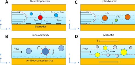 Microfluidic Approaches For Isolation Detection And Characterization