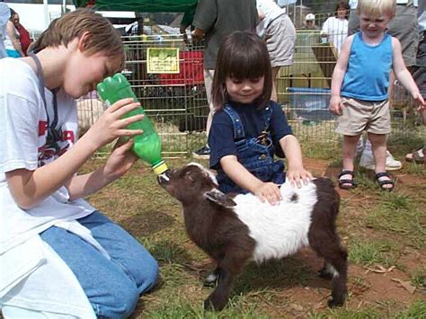 Come learn about the animals. Glow The Event Store | Petting Zoo & Wagon Rides - Glow ...