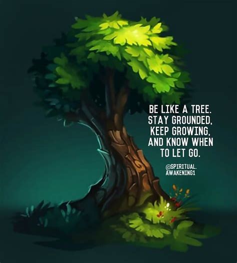Be Like A Tree Life Quotes Quotes Quote Life Motivational Quotes