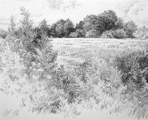 Grass Pencil Drawing At Explore Collection Of