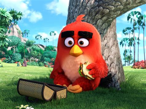 Angry Bird Red Wallpapers Wallpaper Cave